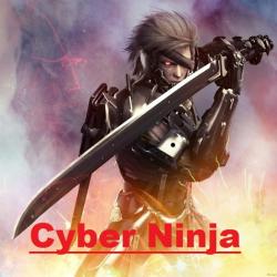VA - Cyber Ninja