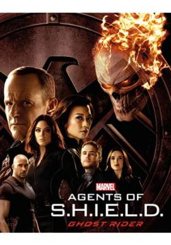  ..., 4  1-22   22 / Agents of S.H.I.E.L.D. [LostFilm]