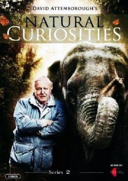   ( 2-3, 1-16   16) / David Attenborough's Natural Curiosities DUB