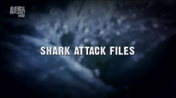   (1-3   3) / Animal Planet. Shark attack files VO