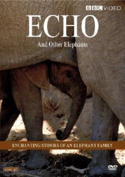     (1-13   13) / Animal Planet. Echo and the elephants of Amboseli VO