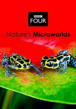     (1,2,3 : 1-16   16) / BBC. Nature's Microworlds VO