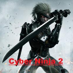 VA - Cyber Ninja 2