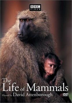   (1-9   10) / The Life of Mammals VO