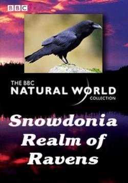  . .   / Natural World. Snowdonia. Realm of Ravens VO