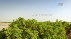   (1-3   3) / Animal Planet. Africa's Trees of Life DUB