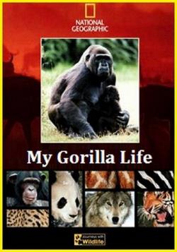     / My Gorilla Life DUB