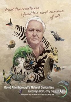      (5   5) / Attenborough's Natural Curiosities VO