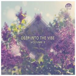 VA - Deep Into The Vibe, Vol.5