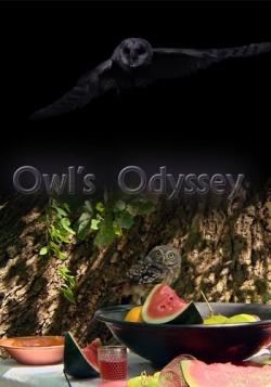   / Owl's Odyssey VO