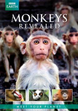     (1-3   3) / BBC. Monkeys Revealed DUB
