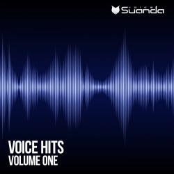 VA - Voice Hits Vol 1