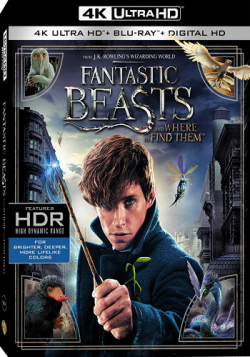 []       / Fantastic Beasts and Where to Find Them (2016) DUB
