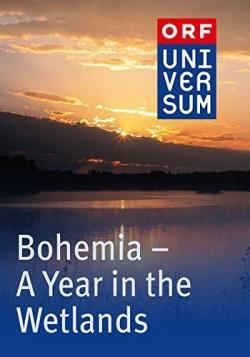     / Bohemia A Year in the Wetlands VO