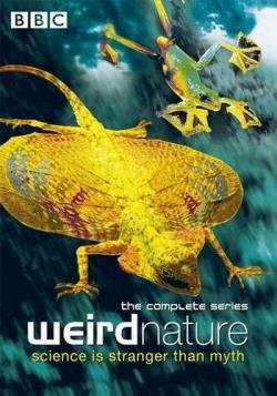    (1-6   6) / Weird Nature VO