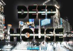 VA - Deep House Collection (Vol.111)