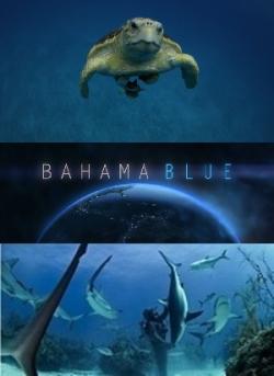   (1 , 1-6   6) / Bahama Blue DUB