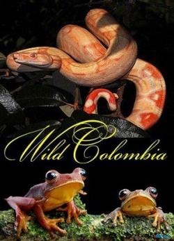   (1-3   3) / NAT GEO WILD. Wild Colombia DUB