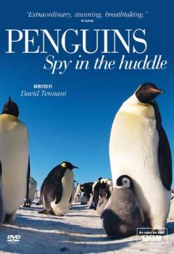 .    (1-3   3) / BBC. Penguins - Spy In The Huddle DUB