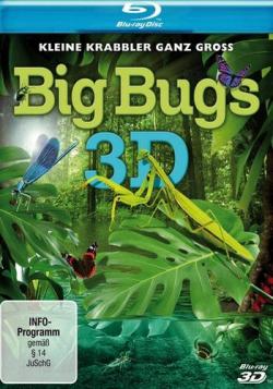   / Big Bugs VO