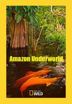    / Amazon Underworld VO