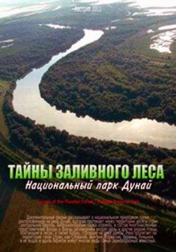       / Secrets of the Flooded Forest - Danube National Park VO