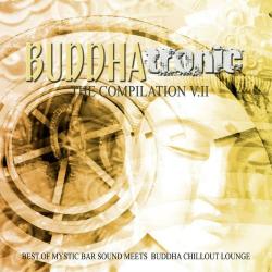 VA - Buddhatronic The Compilation Vol.2
