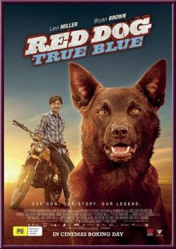 :   / Red Dog: True Blue DVO