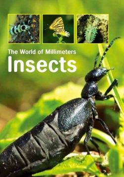     (1-2   2) / Insects. The World of Millimeters VO