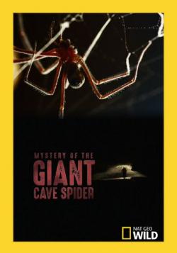     / Mystery of the Giant Cave Spider VO