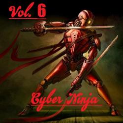 VA - Cyber Ninja - 6