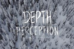   / Depth Perception