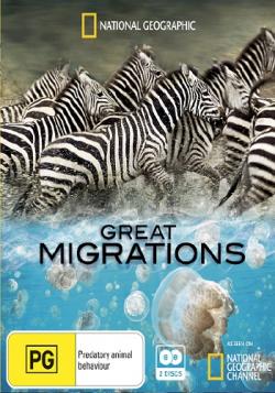   (1-7   7) / National Geographic. Great Migrations DUB