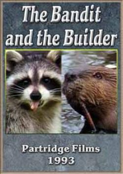    / The Bandit and the Builder VO