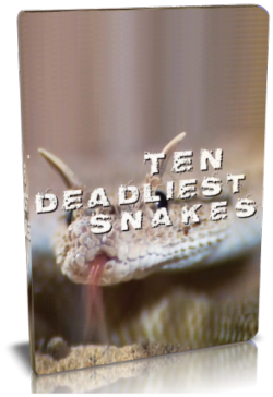     (1-4   4) / NAT GEO WILD. Ten deadliest snakes VO