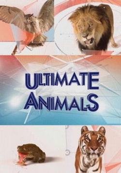  :  (1-8   8) / NAT GEO WILD. Ultimate Animals VO