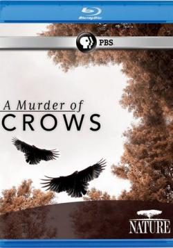   / A Murder of Crows VO
