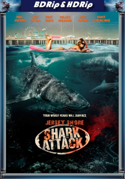   - / Jersey Shore Shark Attack MVO