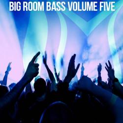 VA - Big Room Bass, Vol. 5