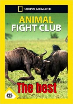   .  (1-6   6) / NAT GEO WILD. Animal Fight Club VO