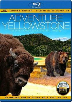   / Adventure Yellowstone VO