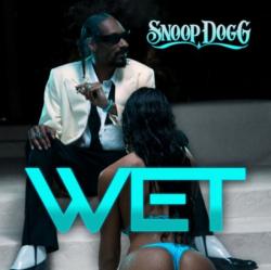 Snoop Dogg vs. David Guetta - Sweat Wet