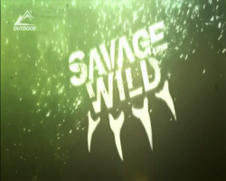     (1-14   14) / Savage Wild VO