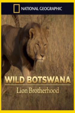  :   / NAT GEO WILD. Wild Botswana: Lion Brotherhood VO