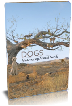    (1-3   3) / Dogs: An Amazing Animal Family VO