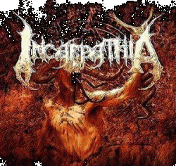 Incarpathia - Lost