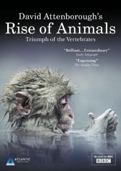  :   (1-2 c  2) / BBC. Rise of Animals: Triumph of the Vertebrates VO