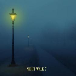 VA - Night Walk 7 [Empire Records]