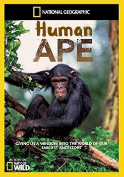   / National Geographic. Human Ape VO