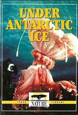 .   / Under Antarctic Ice DVO